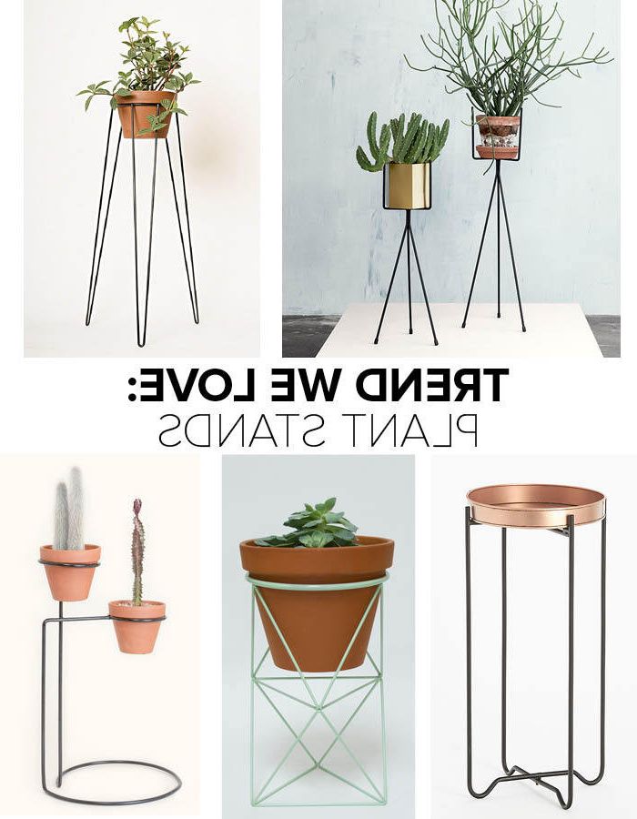 Ring Plant Stands With Regard To Most Current Trend We Love: Plant Stands – Trends We Love – Lonny (View 4 of 10)