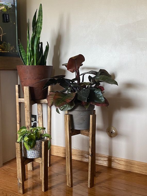 Set Of Three Plant Stands Throughout Trendy Farmhouse Plant Stand L Plant Stand Trio L Houseplant Decor L – Etsy Italia (View 1 of 10)