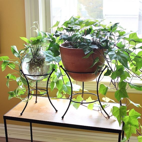 Set Of Two Ball End Wrought Iron Plant Stands Indoor/outdoor – Etsy (View 6 of 10)