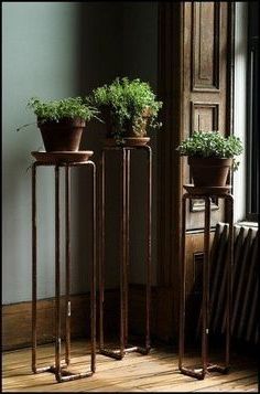 Tall Pedestal Plant Stand – Foter (View 6 of 10)