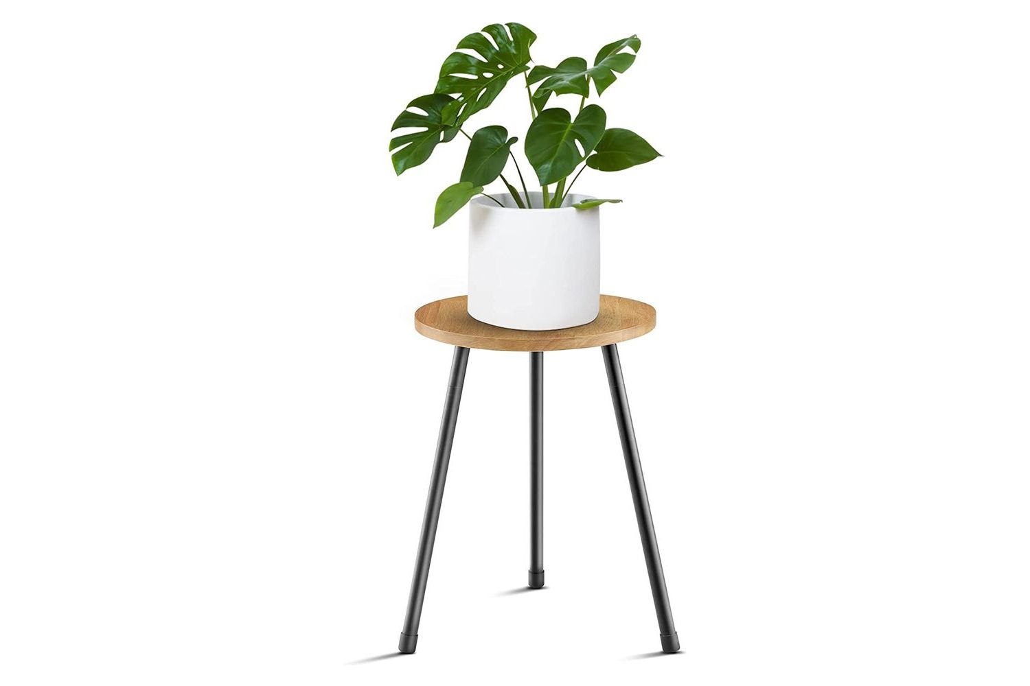The 13 Best Plant Stands Of 2023 Inside Newest  (View 5 of 10)
