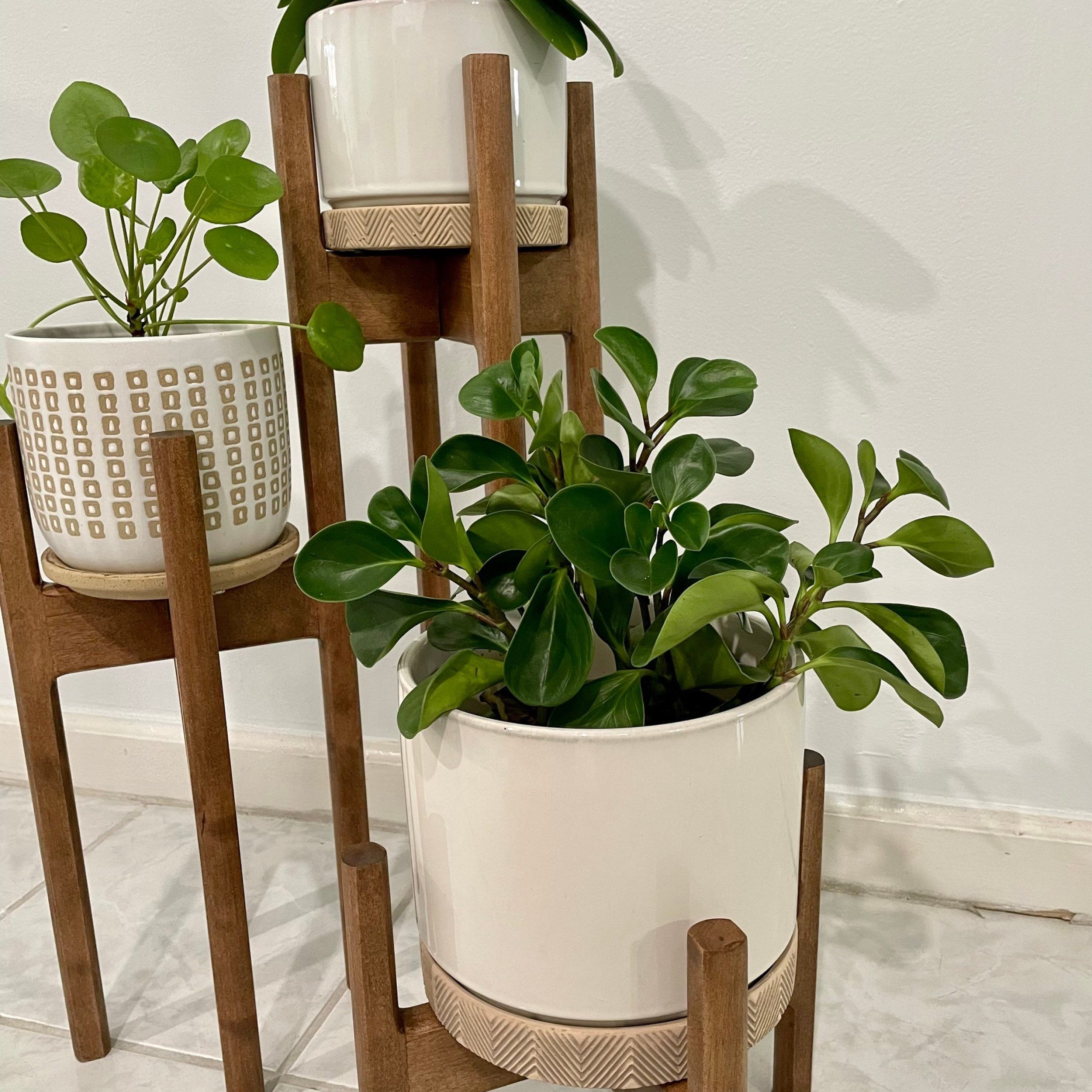 Three Tier Plant Stands Intended For Latest Three Tiered Plant Stand Hand Made Wabi Sabi Style Plant – Etsy (View 6 of 10)