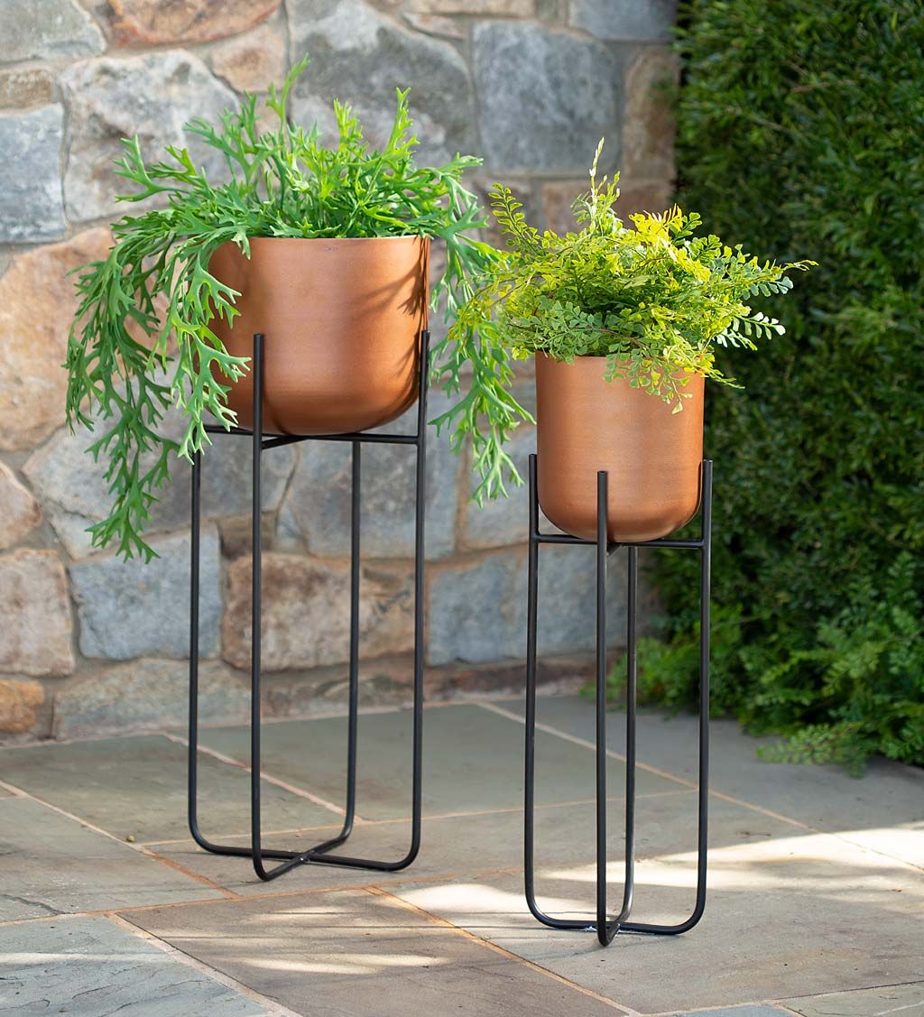 Vivaterra With Regard To Copper Plant Stands (View 8 of 10)