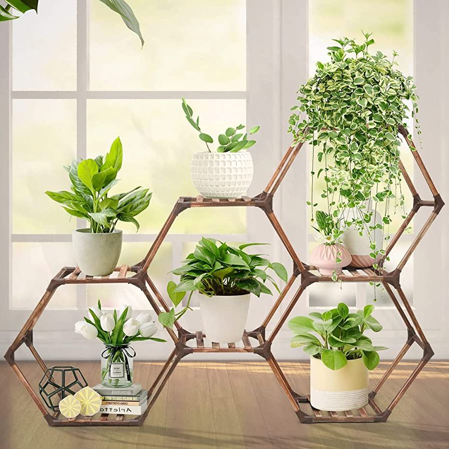 Well Known Hexagon Plant Stands Within Suzami Hexagonal Plant Stand, Indoor Outdoor Plant Shelf, 7 Tiers Wood Plant  Stands Rack Organizer For Multiple Plants Creative Diy Large Potted Holder Flower  Stand For Corner Living Room Patio Porch (View 6 of 10)