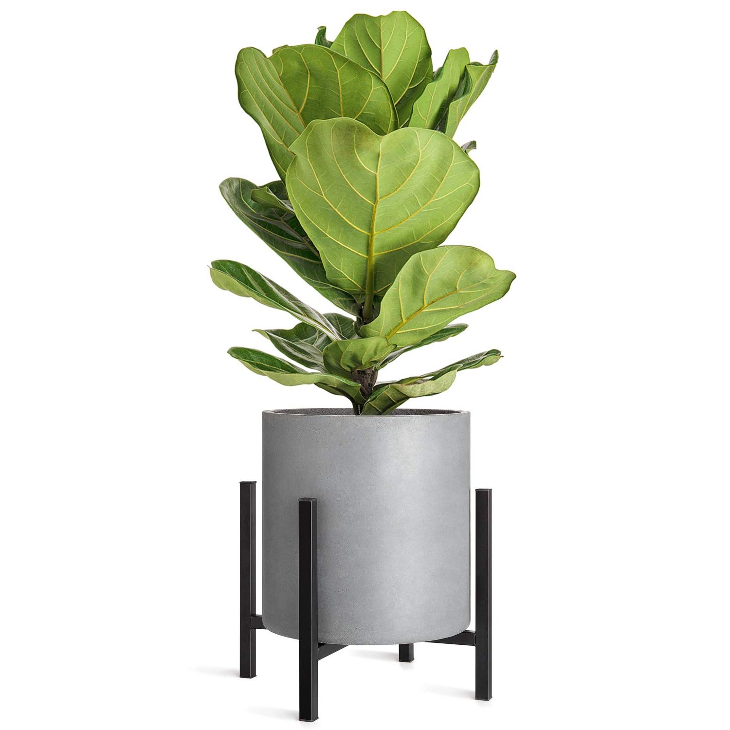 Well Known Mkono Plant Stand – Excluding Plant Pot, Mid Century Modern Tall Metal Pot  Stand Indoor Flower Potted With Regard To 14 Inch Plant Stands (View 2 of 10)