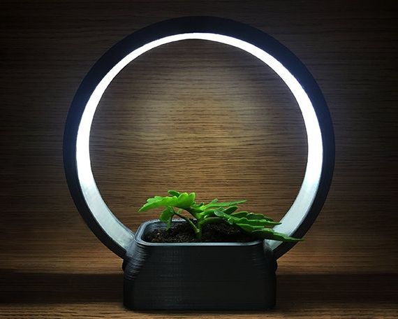 Well Known Ring Light Stand Indoor Plant Stand 3d Printed Ring Desk – Etsy Canada In Ring Plant Stands (View 10 of 10)