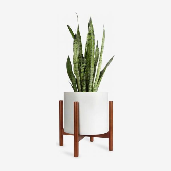 Well Liked 10 Inch Plant Stands With 39 Best Plant Stands  (View 4 of 10)