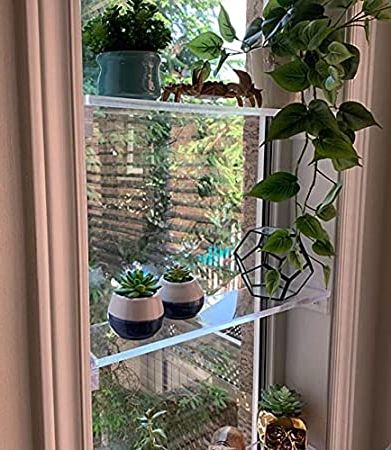Widely Used Crystal Clear Plant Stands Within Elegant And Sophisticated Floating Window Shelf (24", Double Shelf) – Crystal  Clear Recessed Durable Strong Acrylic Trinket, Plants, Succulents Indoor  Collection Display Stand Trendy Modern Boho Chic : Amazon (View 6 of 10)