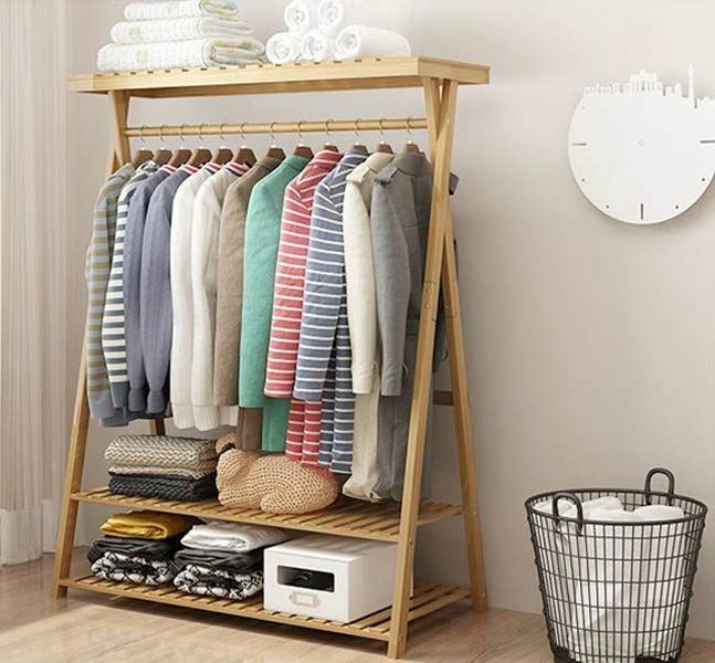 Featured Photo of 2024 Latest Clothes Rack Wardrobes