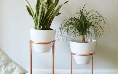 The 10 Best Collection of Copper Plant Stands