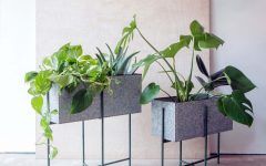 The Best Rectangular Plant Stands