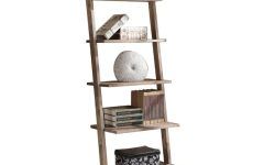 Noelle Ashlynn Ladder Bookcases