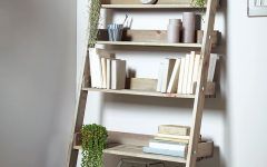 15 Collection of Ladder Shelves