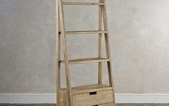 Ladder Bookcases with Drawers