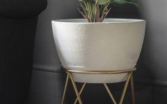 The Best Ivory Plant Stands