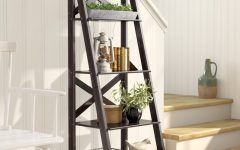 The Best Kaitlyn Ladder Bookcases