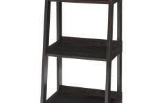 Narrow Ladder Bookcases