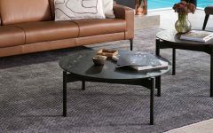 10 Photos Occasional Coffee Tables
