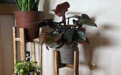10 Inspirations Set of Three Plant Stands