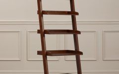 20 Collection of Silvestri Ladder Bookcases