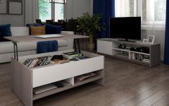 20 Best Ideas Coffee Tables and Tv Stands