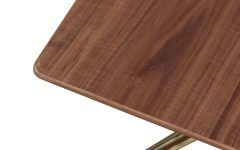 Wood Veneer Coffee Tables